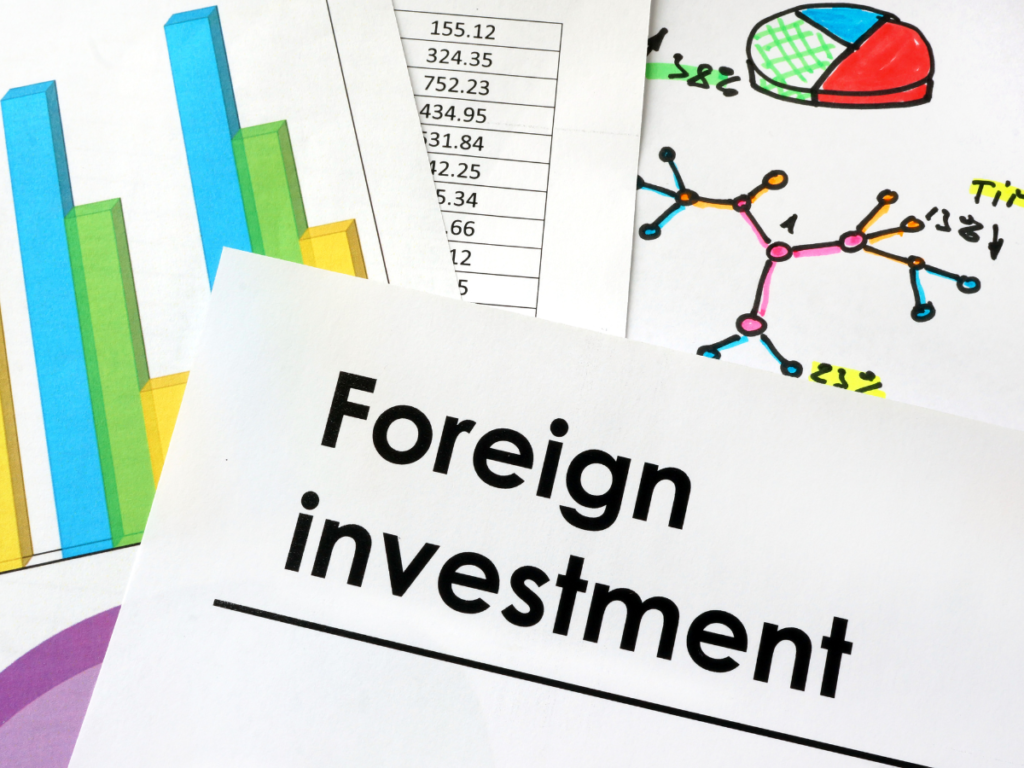 Foreign Investment Advisor