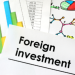 Foreign Investment Advisor