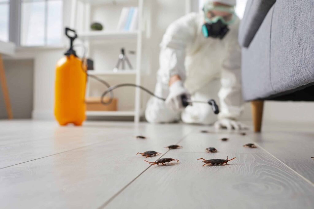 pest control services