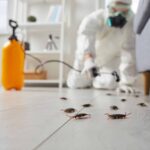 pest control services