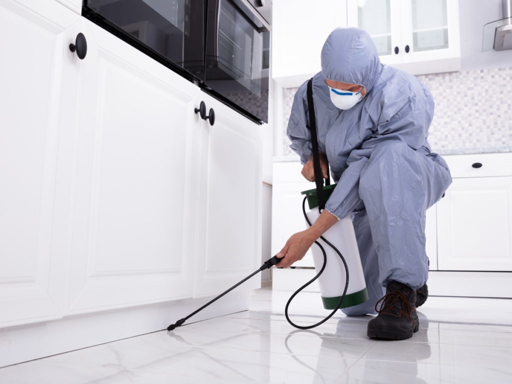 professional pest control services